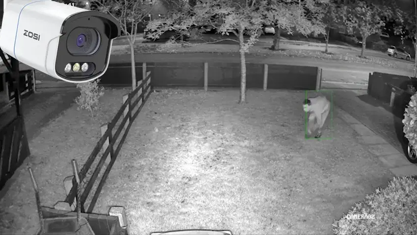 Night Vision Camera Costs
