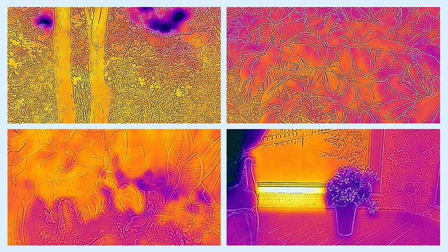 To check soil temperature distribution for indoor plants