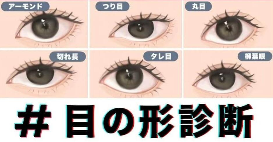 目の形を診断