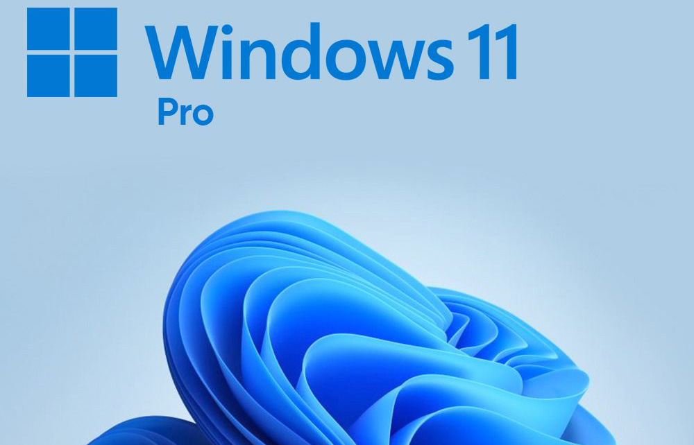 Windows 11 Pro